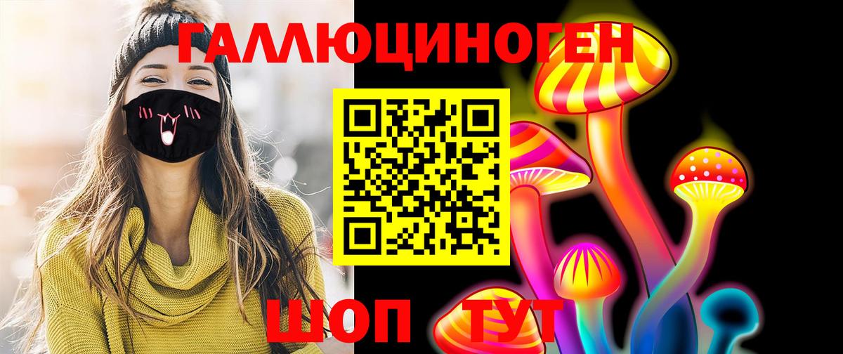 Псилоцибиновые грибы Psilocybine cubensis  Вход с VPN  Псилоцибиновые грибы мицелий  Всеволожск 